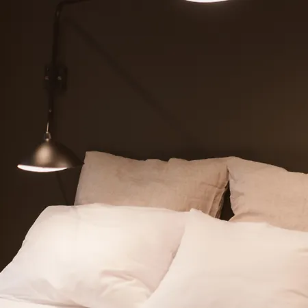 Bold Campus Otel